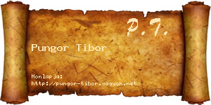 Pungor Tibor névjegykártya